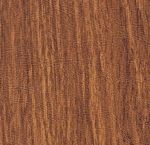 Dark Oak
