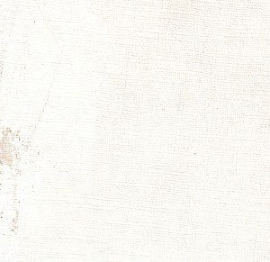 Economy White