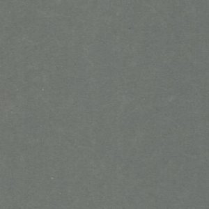 Grey velour