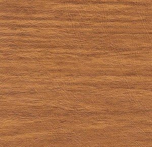 Light Oak